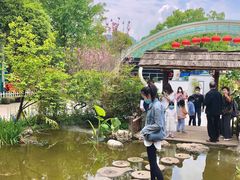 -南山植物园