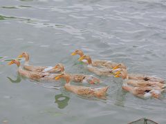 -东钱湖旅游度假区