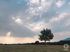 -钟山体育运动公园