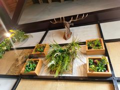 -薄荷小筑融合音乐餐吧(农业路店)