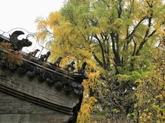-潭柘寺景区