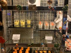 -深圳四季酒店·馥自助餐厅