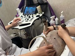 -宠爱国际动物医院·消化内科·心肾内科·ISFM猫友好(望京店)