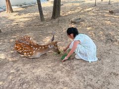 -观唐（国际）度假村温泉