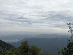 -梧桐山风景名胜区