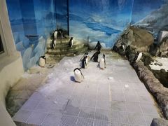 -成都浩海立方海洋公园