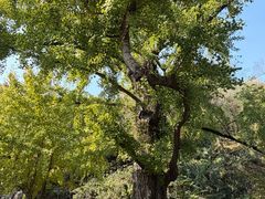 -钱小奴创意自助餐厅·原切谷饲安格斯畅吃(苏州昆山招商花园城店)