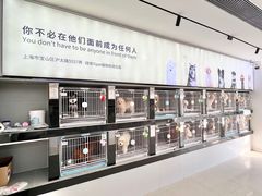 -翊宠yipet猫狗购宠庄园犬舍•猫舍