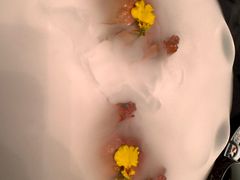 -食悦江南·淮扬菜·烤鸭(亚运村·惠新店)