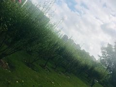 -白塘生态植物园