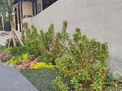 -方中山胡辣汤(成都首店)