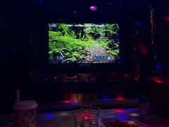 -加州红歌声宴KTV(白石洲店)