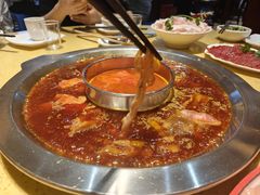 -田鸭肠·非遗火锅(彭州店)