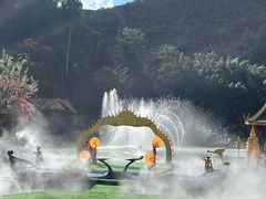 -西双版纳原始森林公园