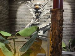-蜀江龙火锅(339店)