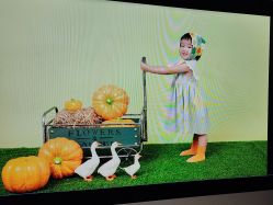 -大连棒棒糖儿童摄影(熊洞街店)