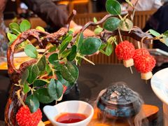 -唐猫庭院·千年陕菜(赛格国际购物中心店)