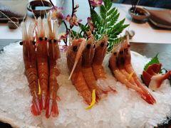 -芥末日本料理(打浦路铂尔曼旗舰店)