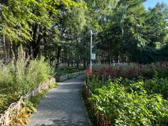 -黑龙江省森林植物园