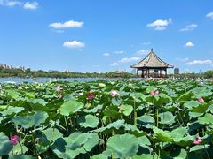 -济南大明湖景区