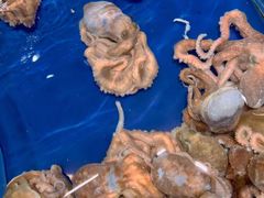 -三亚火车头万人海鲜广场