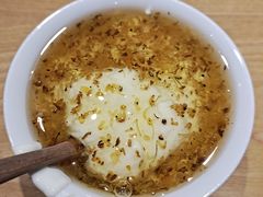 -古树酸奶(八廓南街店)