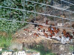 -阿鸟农庄(石壁店)