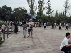 -成飞公园