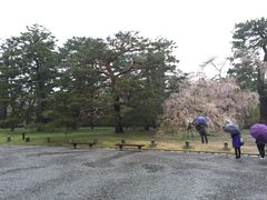-京都御所