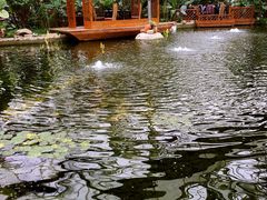 -汤山翠谷生态餐厅