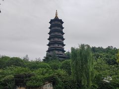 -重庆园博园