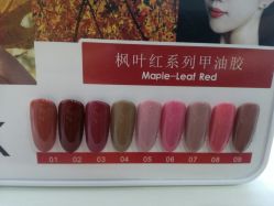 -scarlet斯卡莱美容护理机构