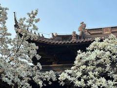 -灵谷景区