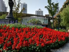 -苏州河梦清园环保主题公园