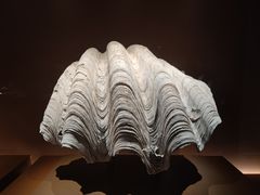 -曼谷国家博物馆