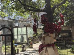 -酒蜻蜓·庭院私房菜(天元东路店)