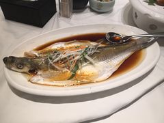 清蒸野生太湖白鱼-同庆楼(滨湖万达广场店)