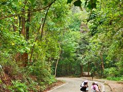 -南宁良凤江国家森林公园