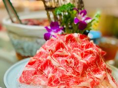 -金龙·打边炉(南京西路店)