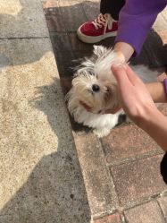 -Zoolung Zoolung动物主题公园(海信广场店)