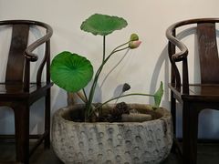 -蟹村草堂·苏式园林人文农家·大闸蟹