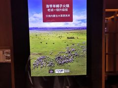 -浩爷羊蝎子火锅(望京店)