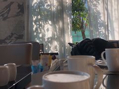 -宁波万豪酒店