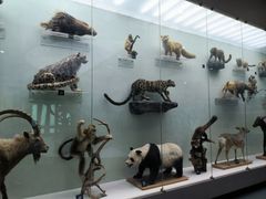 -国家自然博物馆