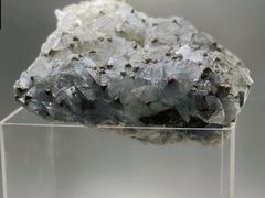 -甘肃地质博物馆