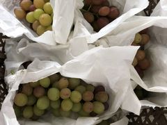 -马陆小张葡萄园农家乐