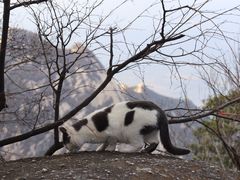 -华山风景名胜区