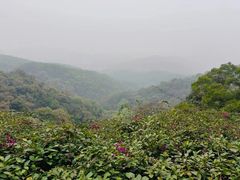 -广州市白云山风景名胜区