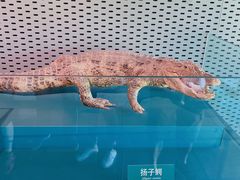 -中国湿地博物馆