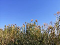 -飞凤山奥体公园